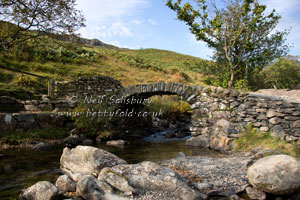 Pack Horse Bridges in the Lake District by Betty Fold Gallery